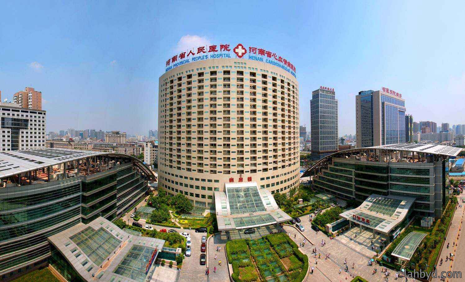 材料选用：九阳的SBS改性沥青卷材